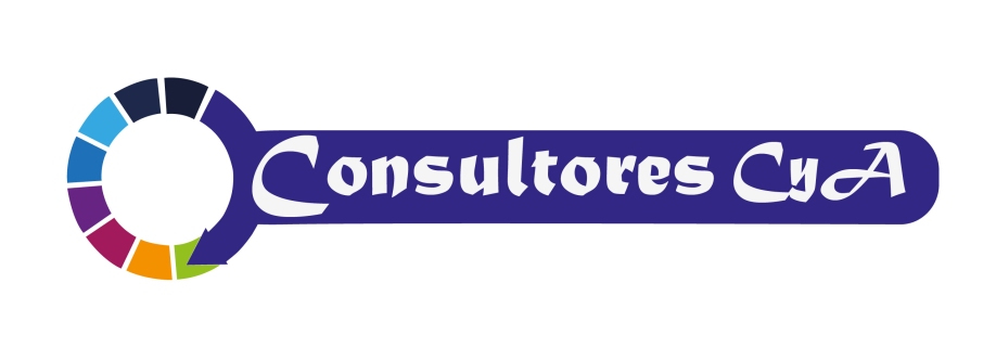 Consultoría y Asesoría Cover Image