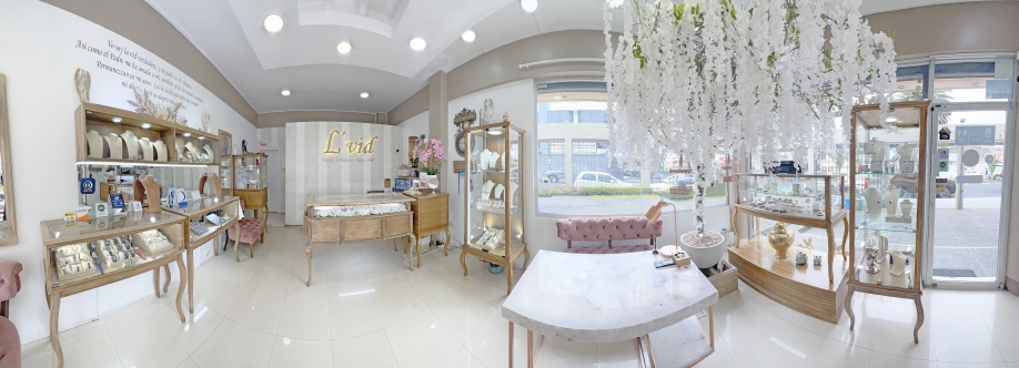 Joyería LVID cover image