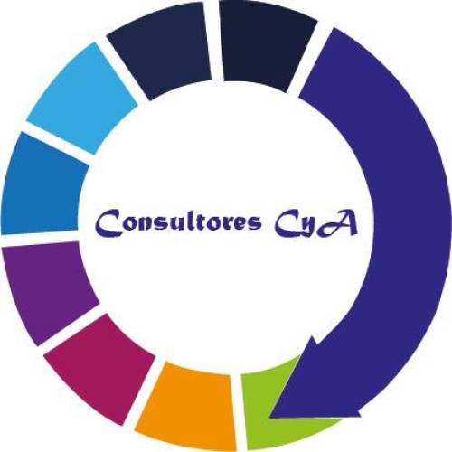 Consultoría y Asesoría Profile Picture
