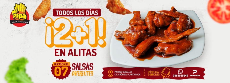 Mr. Papa cover image