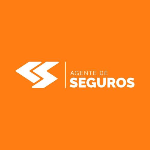 CS Agente de seguros Profile Picture