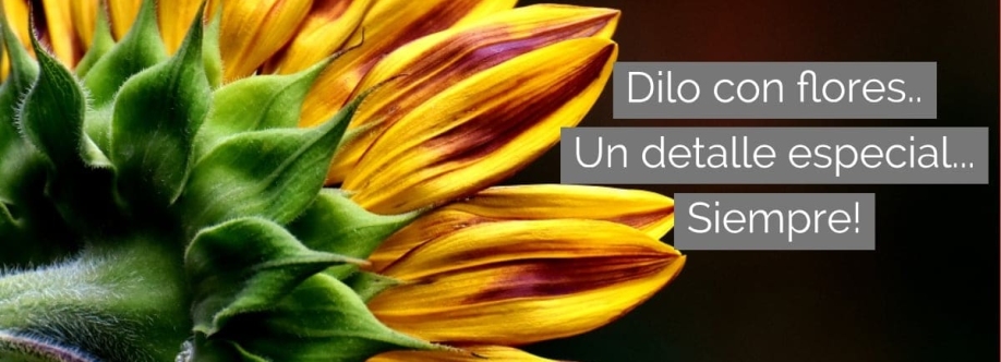 Floristería Villacís Eventos y Decoraciones Cover Image