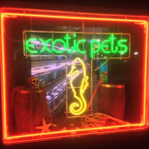 Paradise Aquarium Profile Picture