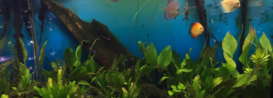 Paradise Aquarium Cover Image