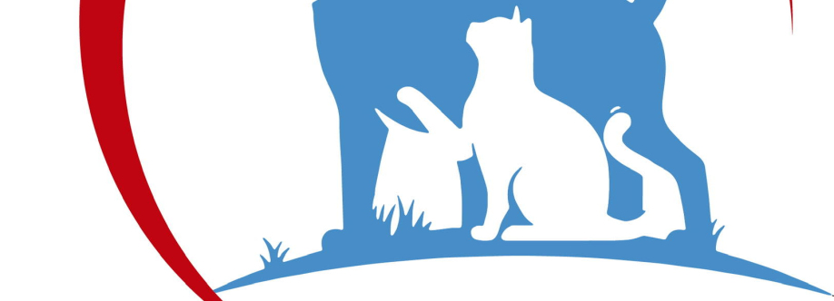 Clinica Veterinaria de Pelos Pet Shop J.E Cover Image