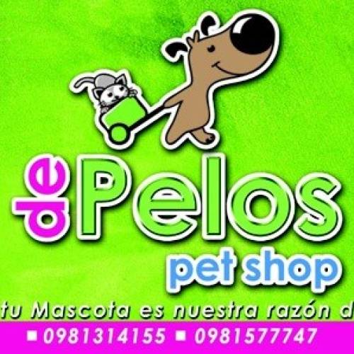 Clinica Veterinaria de Pelos Pet Shop J.E Profile Picture