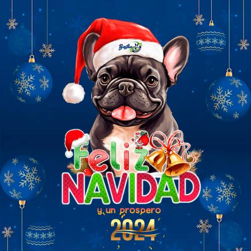 Clínica Veterinaria Boston Profile Picture