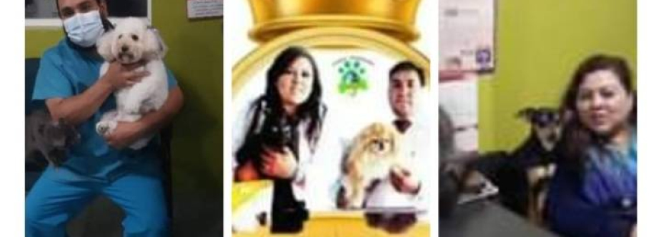 Clinica Veterinaria Puppy Planet - Ambato Cover Image
