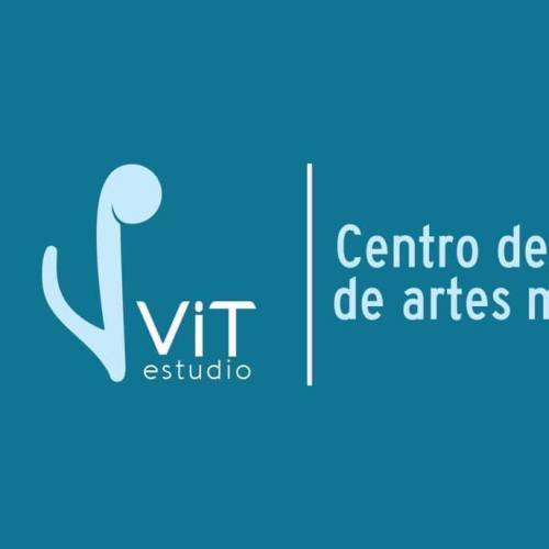 Vitestudio Profile Picture