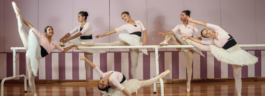 Danzas Escuela de Ballet Cover Image