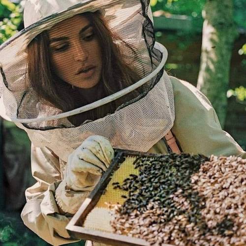 Miel de Abeja "MieLania" Profile Picture