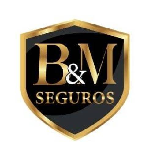 B&M seguros Profile Picture