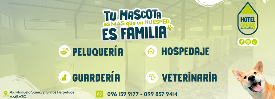 HOTEL Canino SAN Francisco Cover Image