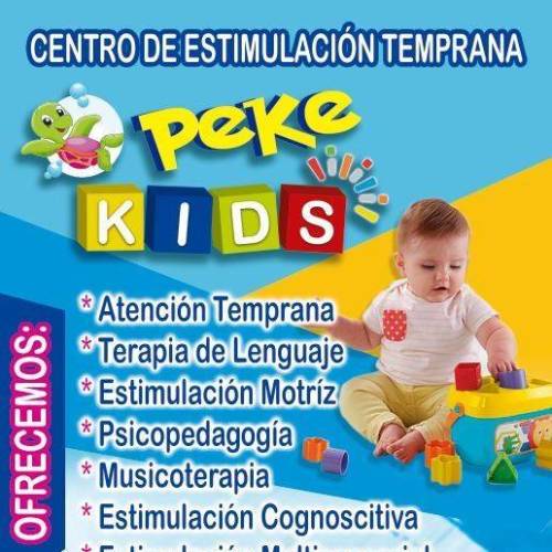 Centro De Estimulación Temprana "peke KIDS" Profile Picture