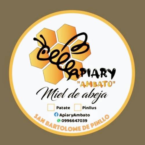 ApiaryAmbato Profile Picture