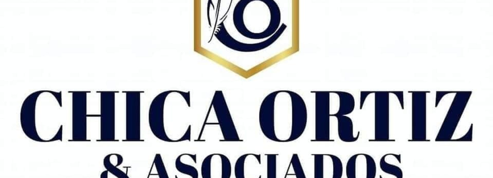 Chica Ortiz & Asociados Cover Image