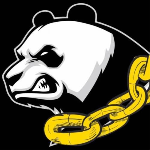 Panda Studio Profile Picture