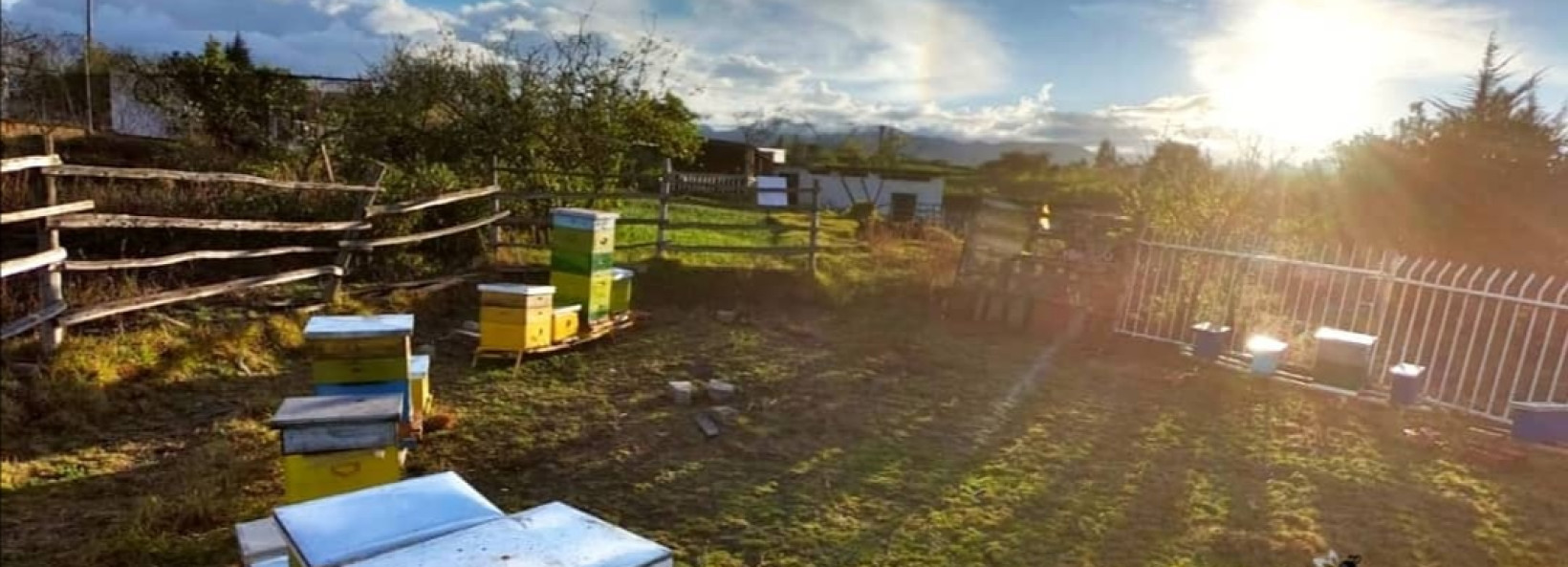 Ambamiel Cover Image