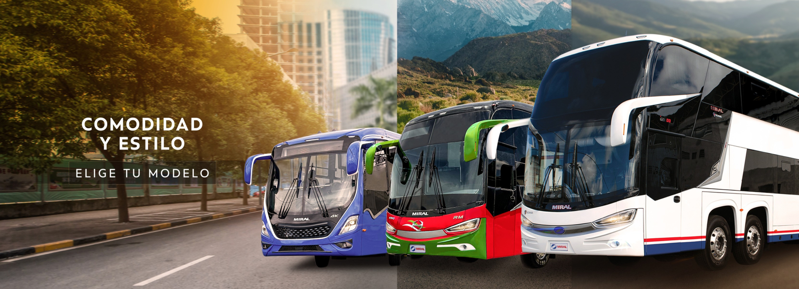 Miral-Autobuses Cover Image