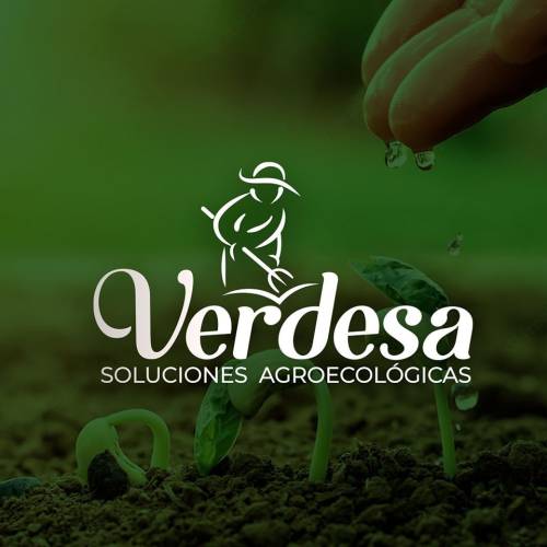 VERDESA Profile Picture