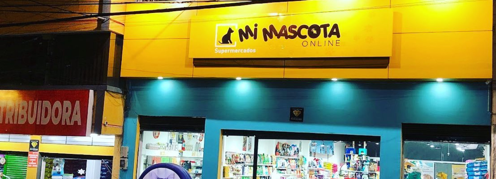 Mi Mascota Online Cover Image