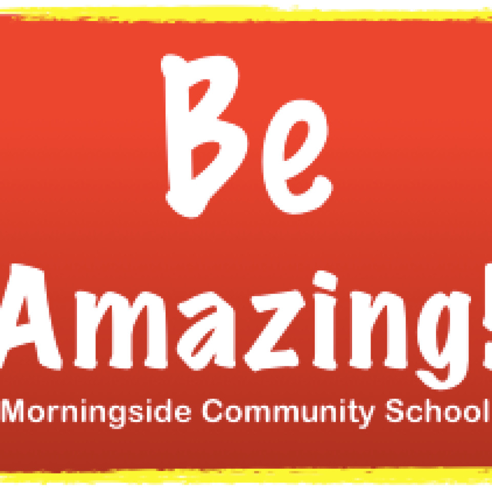Morningside Community School - *Defining A Future!* Profile Picture
