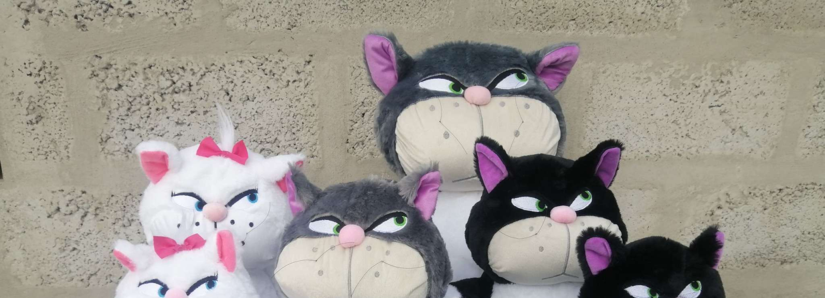 Peluches Peelgood cover image