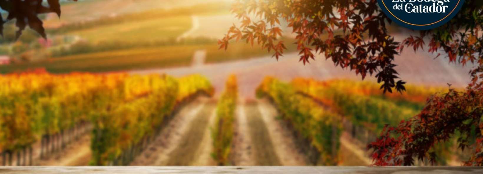 La Bodega del Catador Cover Image