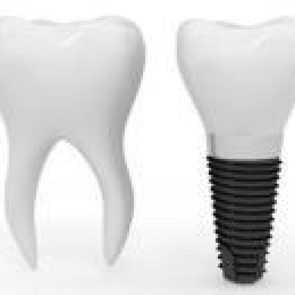 Erich C. Schmidt D.M.D., P.C., Periodontist Profile Picture