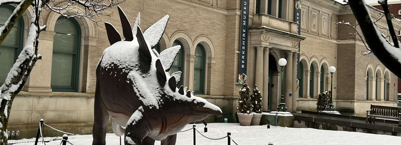 Berkshire Museum cover image