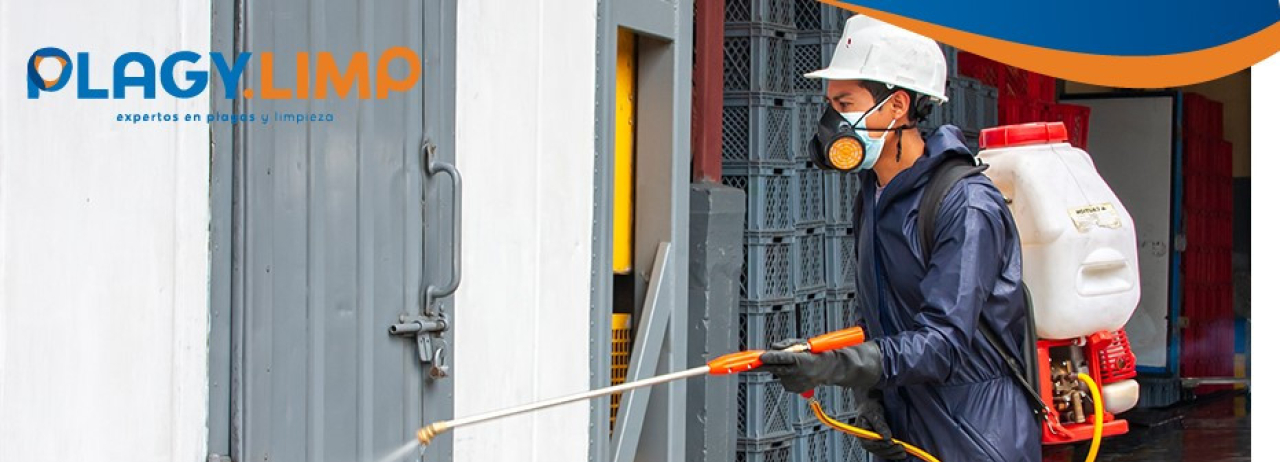 Plagylimp Cía Ltda Cover Image