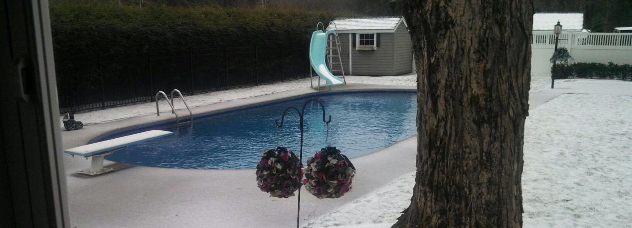 Bushey's Pool City cover image