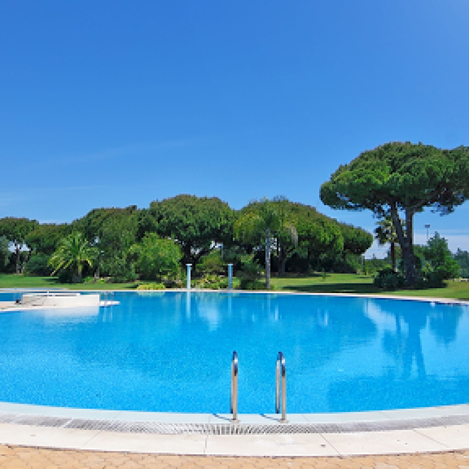 Bushey's Pool City Profile Picture