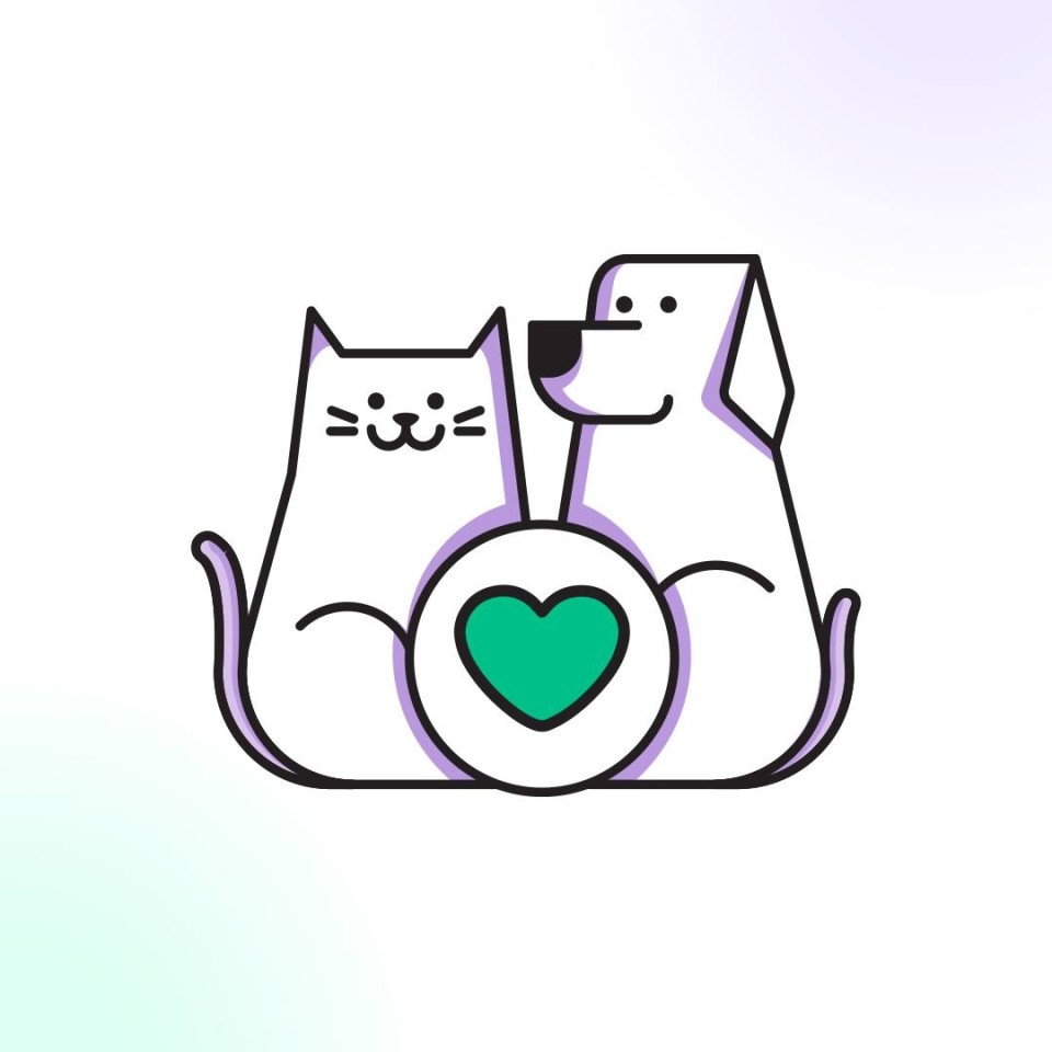 Dogtor's Cat Hospital Veterinario Profile Picture